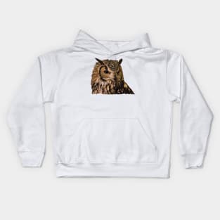 Royal Owl Kids Hoodie